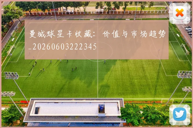 曼城球星卡收藏：价值与市场趋势_20260603222345